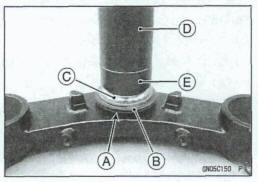Stem, Stem Besting Installation